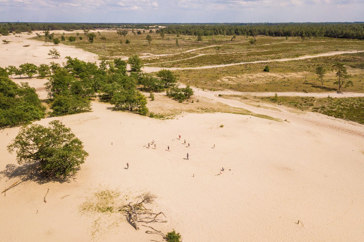 RoutesinBrabant's tweet photo. Bijzonder natuurgebied: De #LoonseEnDrunenseDuinen. Puur genieten, of je nu wandelt, fietst (op de mtb) of te paard het gebied verkent. #RoutesinBrabant #VisitBrabant https://t.co/q1Nc5yiU52