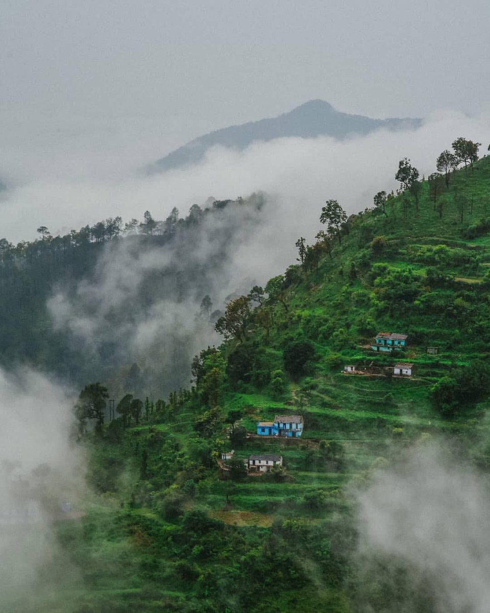 Uksouls's tweet photo. We often forget that we are nature. Nature is not something separate from us. So when we say that we have lost our connection to nature, we have lost our connection to ourselves. 
#Uttarakhand #monsoon #nature 
📍Kausani Uttarakhand https://t.co/MmawEqhrlu