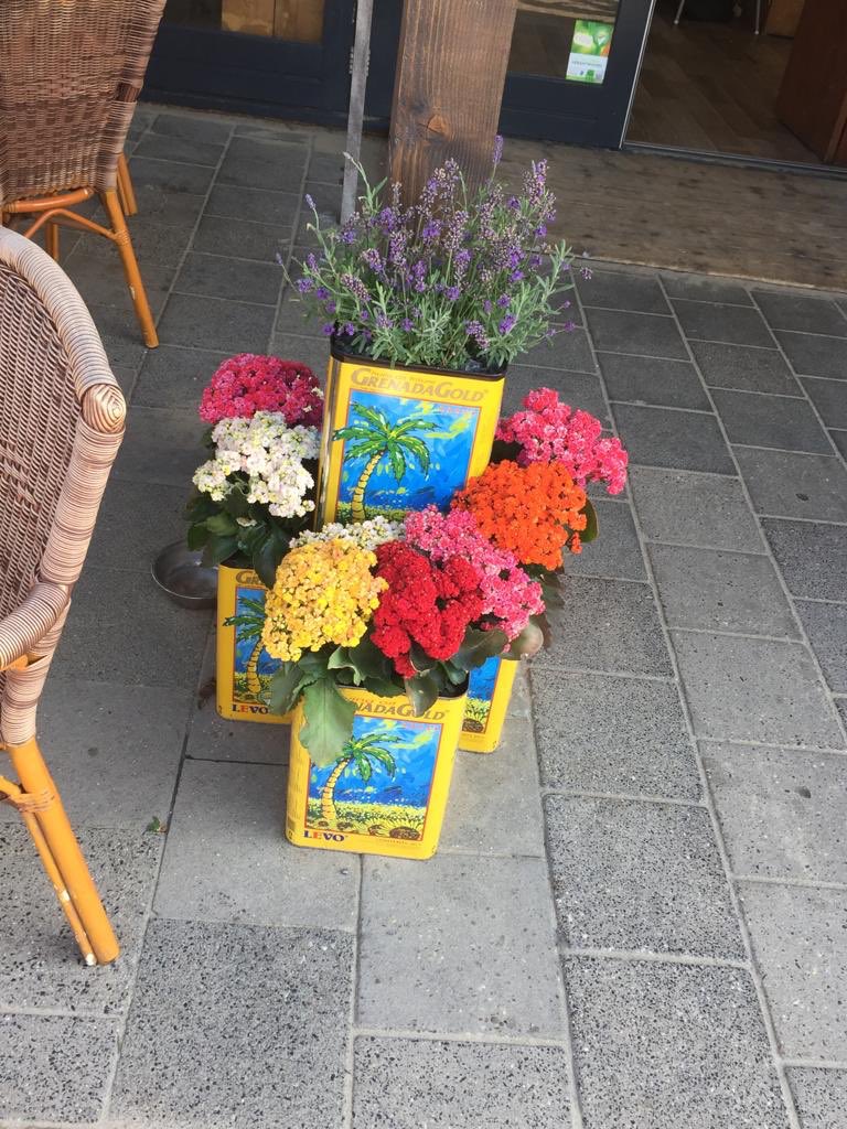 LEVObv's tweet photo. π»πΌ Zon, zee en strand @Noordwijk! En prachtige bloemen decoraties gespot in Grenada Gold Frituurolie blikken!
πΌπ»
#Noordwijk #Creatiefbezig #GrenadaGold
#LEVO #Familiebedrijf #Sinds1916 #Olie #Frituurolie #Sauzen https://t.co/Exrr6Q8t06