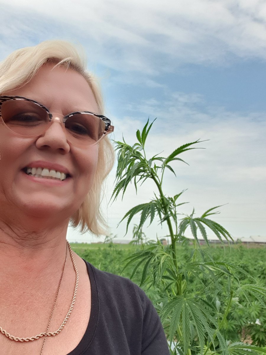 jeanettern1's tweet photo. Field of dreams! #48North #goodfarm https://t.co/FcIIq0TyAV