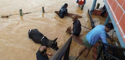 ReactingNuclear's tweet photo. #SaveUttarKarnataka #KarnatakaFloods #KarnatakaRains https://t.co/WgPJ8VNflq
