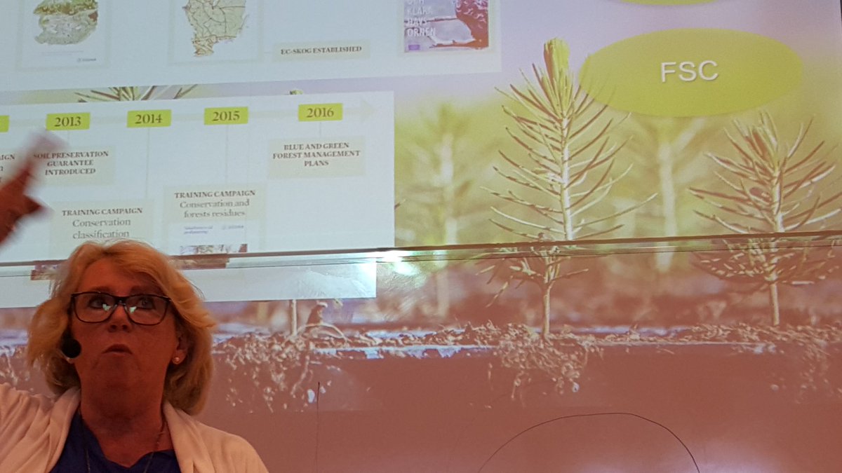 LegrandCath's tweet photo. Easiest way to capture #CO2 & prevent #erosion hence #poverty is REPLANTING #trees #forestry Lena Ek #SDGs #lnusummeracademy @linneuni @sodra https://t.co/WQzCFfN0mY