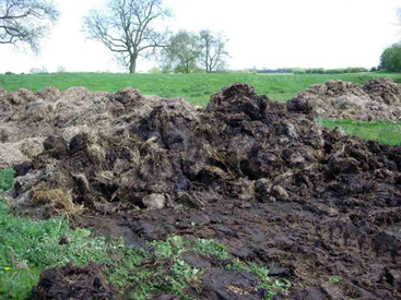 RAMIRAN2023 tweet media