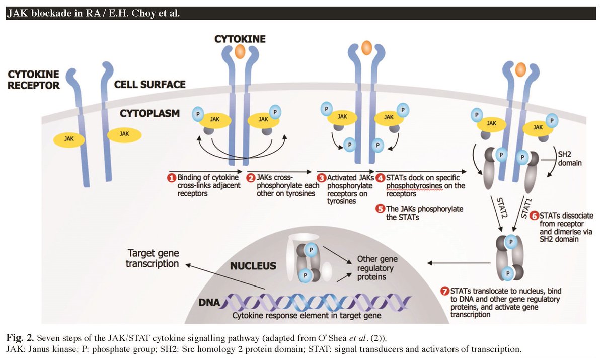 view treatment of skin disease comprehensive therapeutic strategies 2013