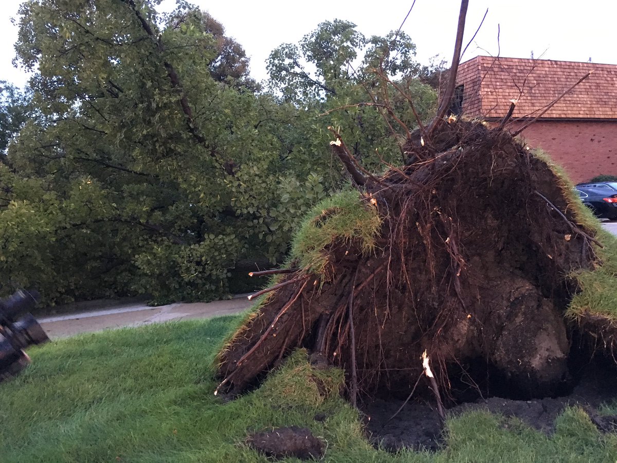 JessStevensonTV's tweet photo. A large tree, lifted by the roots at the Picaldilly Apartments on Stolley Park Rd in #GrandIsland. More live updates coming up on @NTVNEWS     @ntv_alex https://t.co/aSPGeuARNw