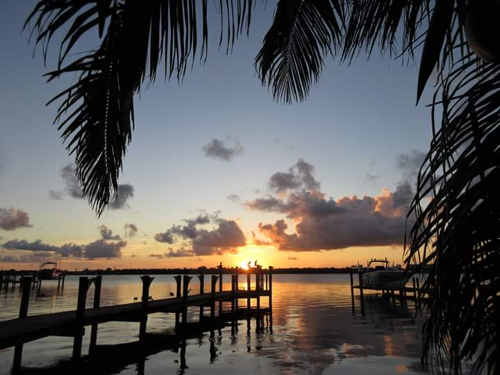 VivaSarasota's tweet photo. #SiestaKeySunrises #ThanksCharlie #VivaSarasota @wfla @SNNTV @mysuncoast #WFLA #SNN #MySuncoast #LoveSrq #LoveFL #LoveSK #SharetheLoveSrq #SharetheLoveSK #Sarasota #SarasotaFlorida #Srq #SK #SiestaKey #SiestaKeyBeach #Live941 #4Srq #4Sarasota #GoodMorningSrq #GoodMorningSunshine https://t.co/WnZEULGuRP