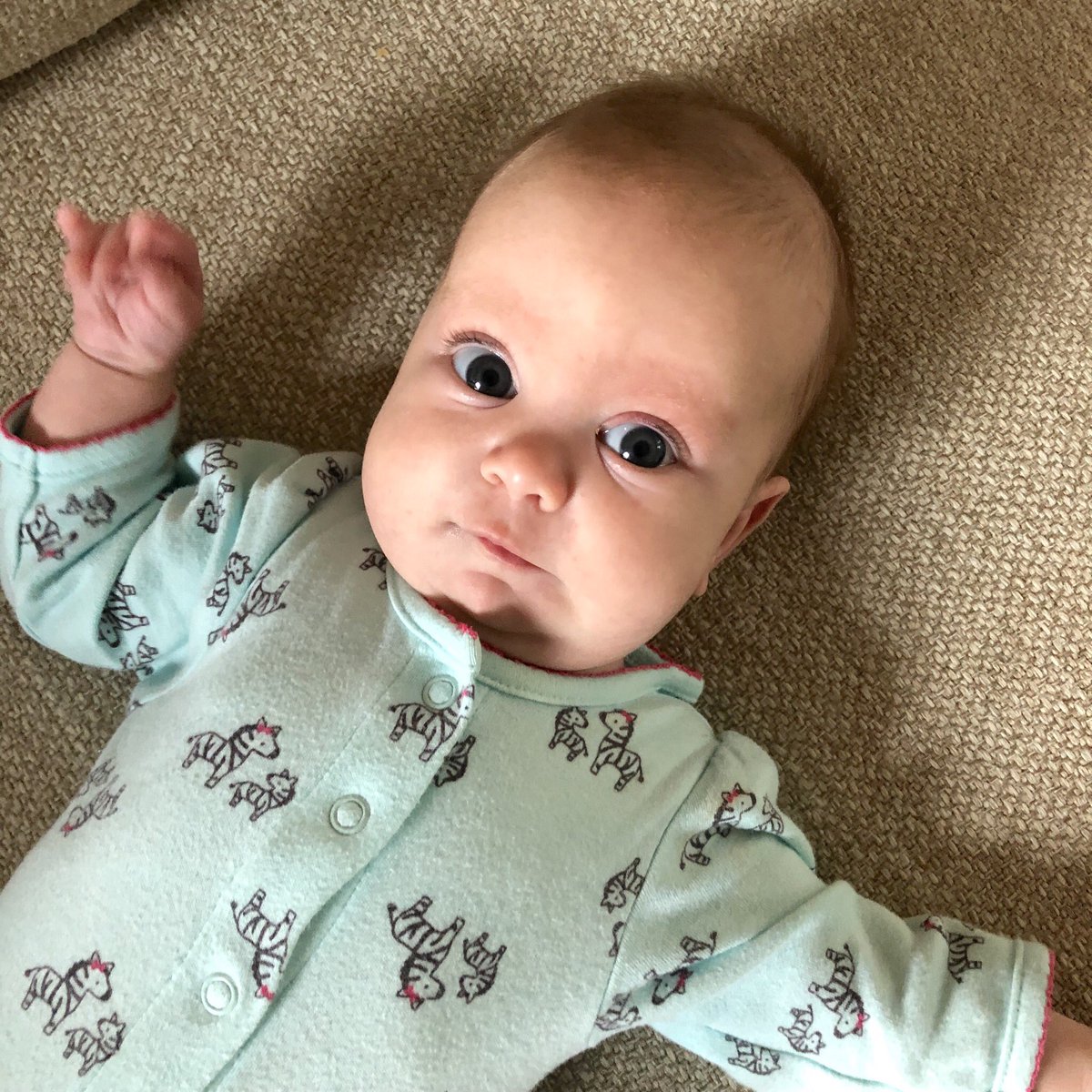 angeldorsett's tweet image. Junior and senior year for Evan and Elizabeth— hard to believe it’s his last #MAfirstday ! 👨🏼‍🎓 They wanted Caroline in the picture, but she woke up about 5 minutes after they left. @JasonDorsett always leaves before pictures.