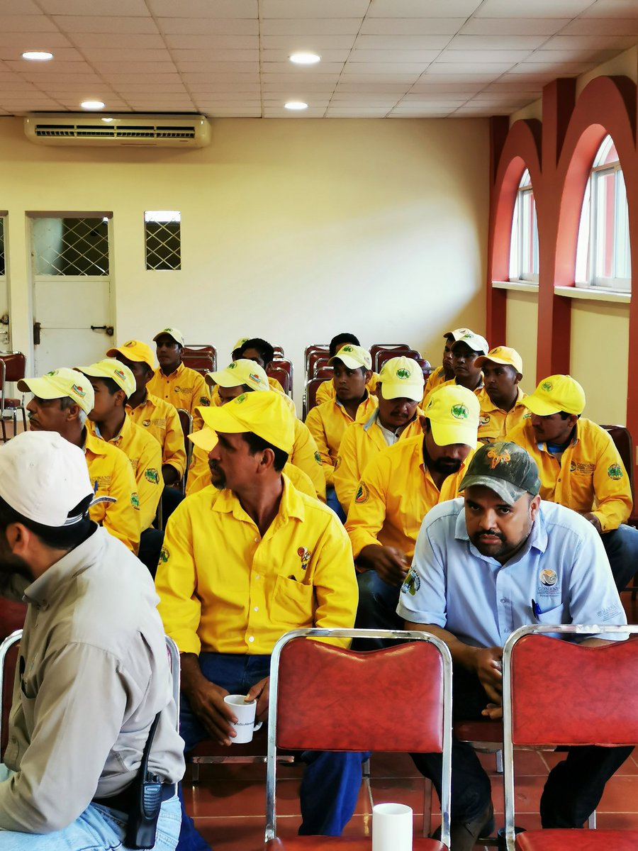 papiringocamilo's tweet image. En la #RB Sierra de #Manantlan nos capacitamos cada año para atender incendios forestales. Gracias a @SemadetJal y a @CONAFOR por el apoyo para la realización de este curso.Juntos conservamos la #SierradeManantlan #YoSoyManantlan @CONANP_mx @SEMARNAT_mx @FondoMexicano