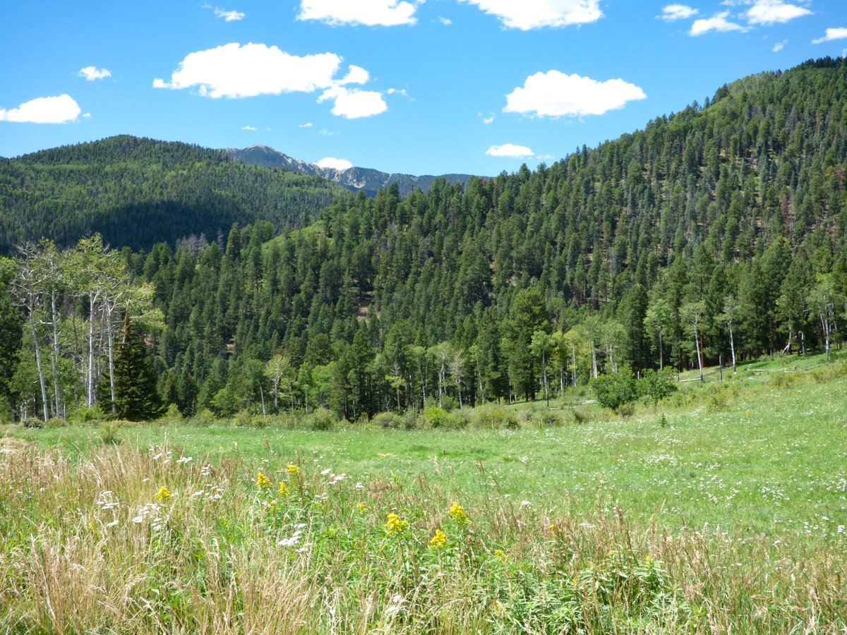 Seven of our Favorite National Forest Campgrounds in #NewMexico - ow.ly/rMe550vqFBo

#OptOutside #camping #weekendgetaway #staycation #travel #roadtrip