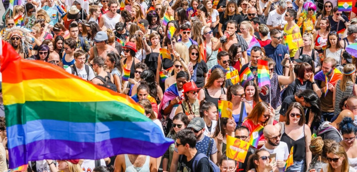 Deviati01234044's tweet photo. À gauche : Gaypride
À droite : Guêpe Ride https://t.co/YQBXsV37HI