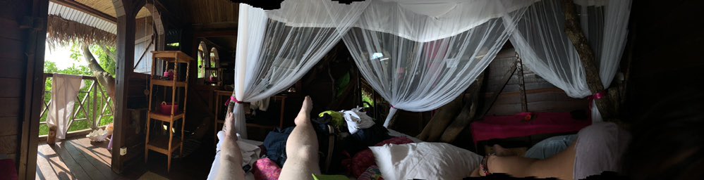 saoirse_22's tweet photo. I’m in an actual tree house, on a beach, also my legs are really really white. #adjustBrightness https://t.co/j1W1W9jufM