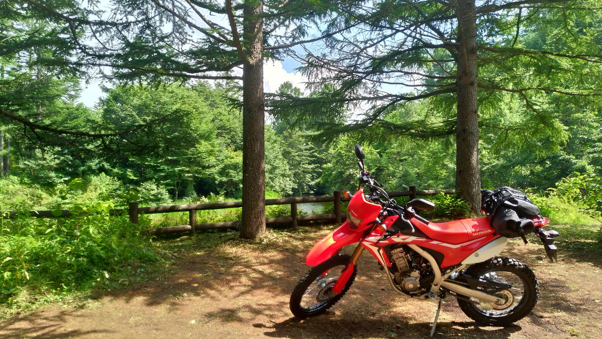 knockdown99 tweet media