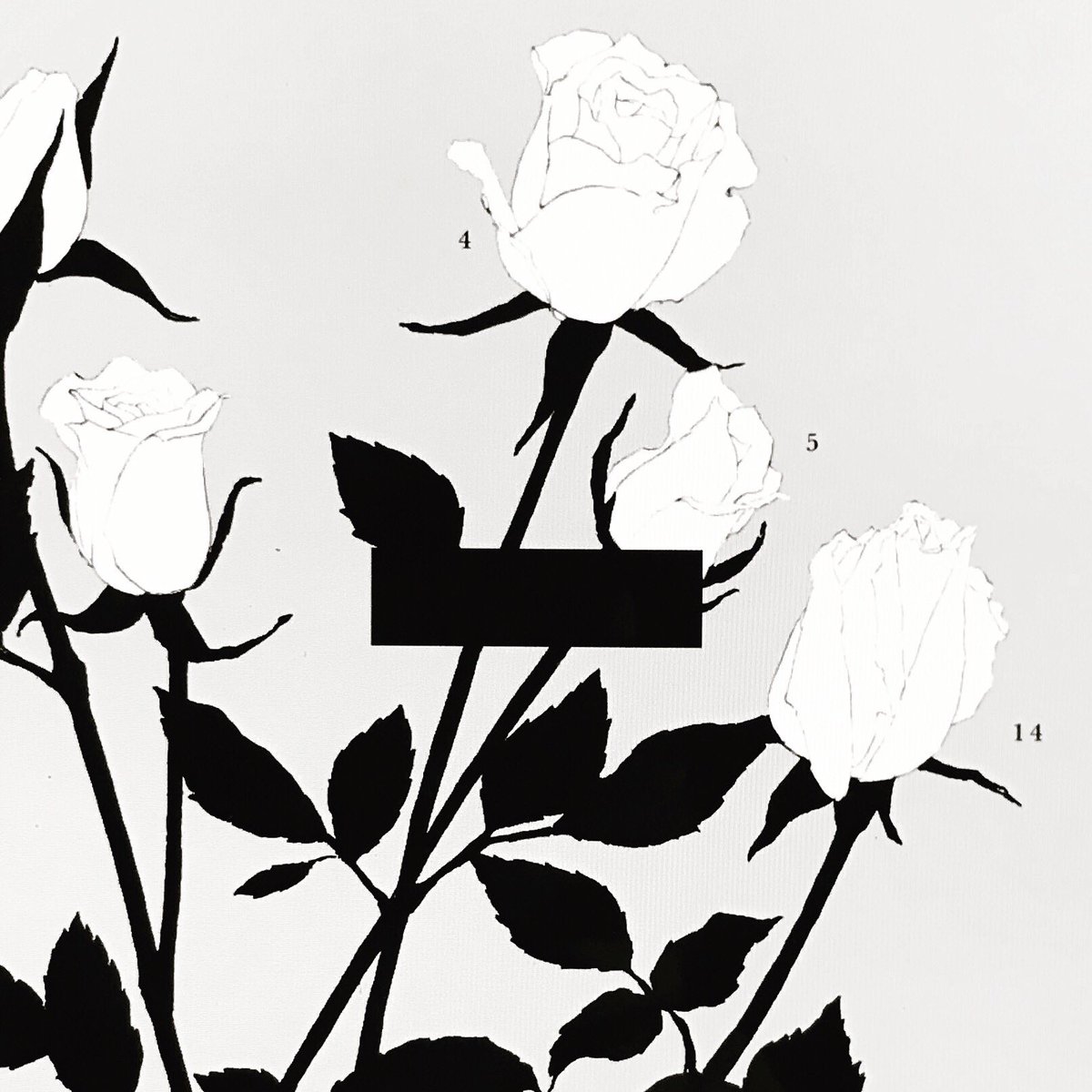 #花の日 