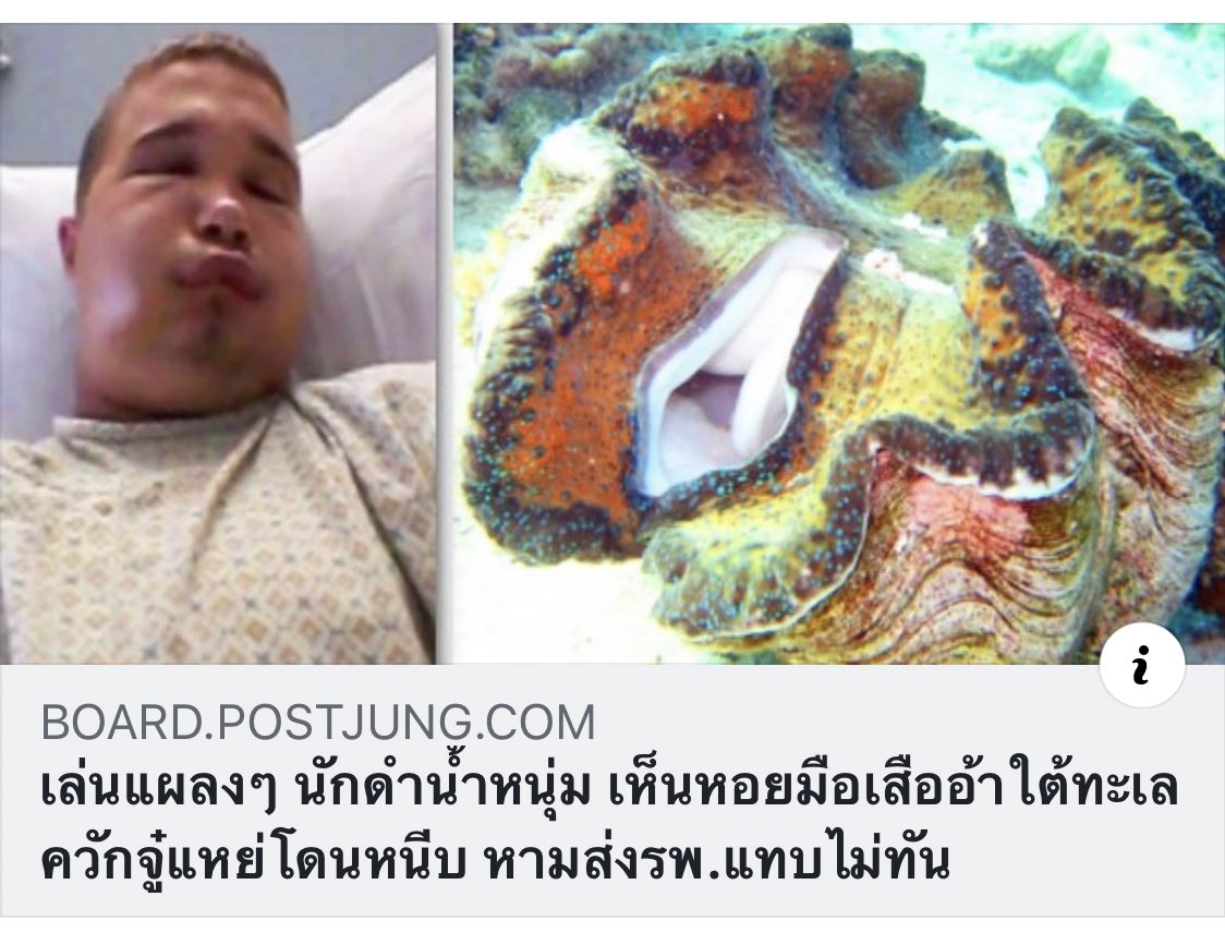 แข 🏳️🌈 tweet media