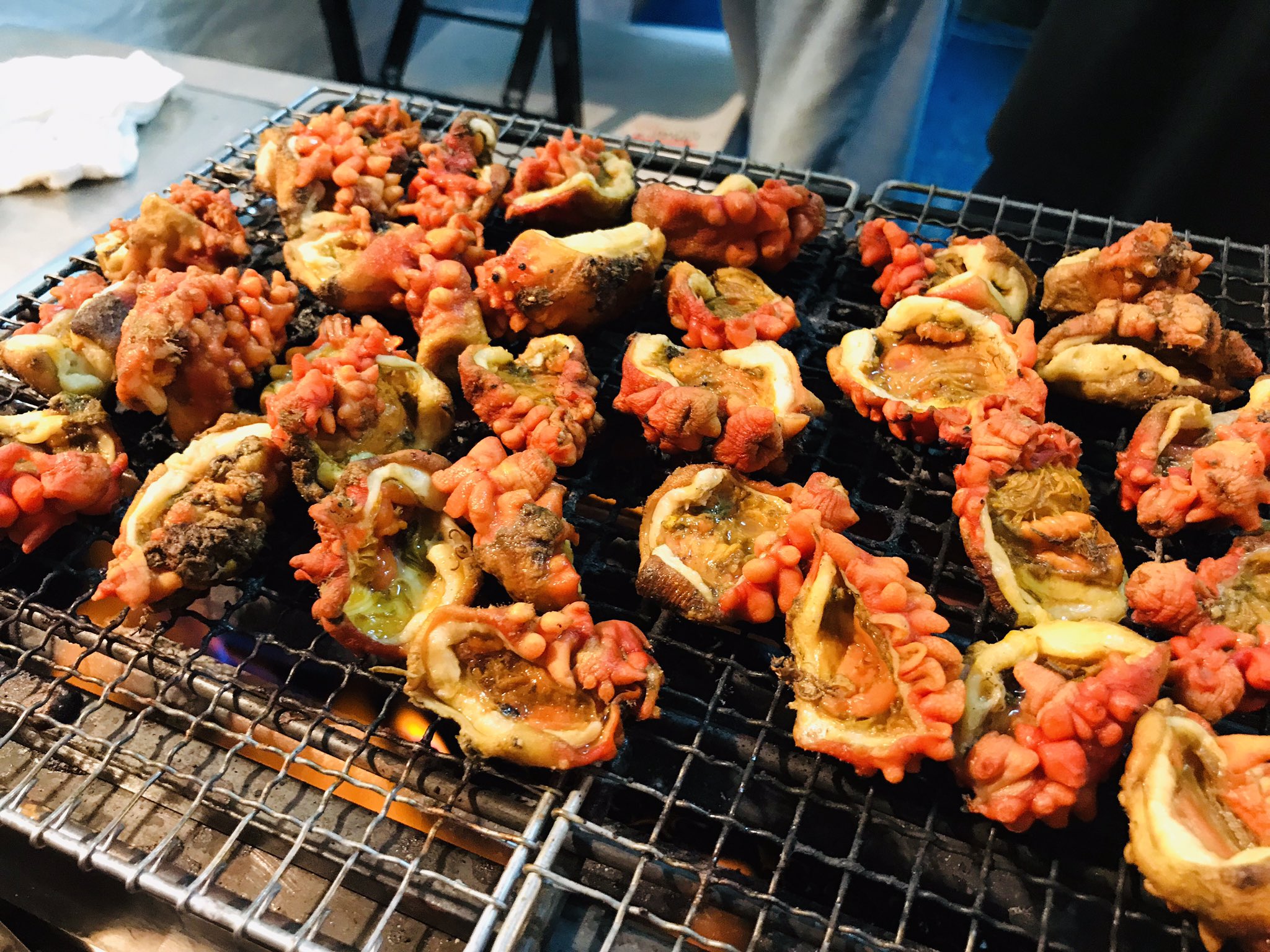 焼きホヤ Twitter Search Twitter