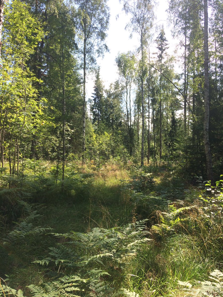 Einführung in die