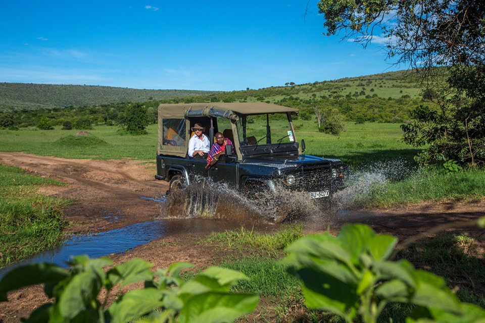 SpiritoftheMara's tweet photo. Did you know that our safaris and game drives are hosted by our silver certified guides from the local community, that have vast knowledge of the flora and fauna of the Masai Mara ecosystem. #ExperienceSpiritoftheMasaiMara https://t.co/6DXn1aixvH