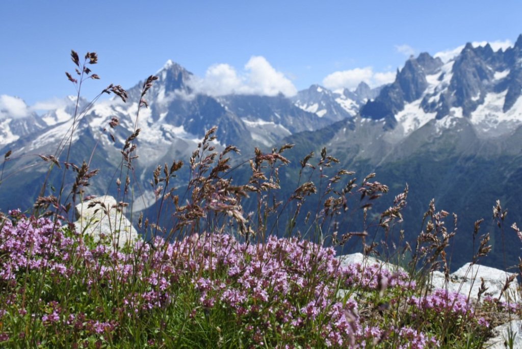 Chamonix-Mont-Blanc annabachman.com/2019/08/07/cha…