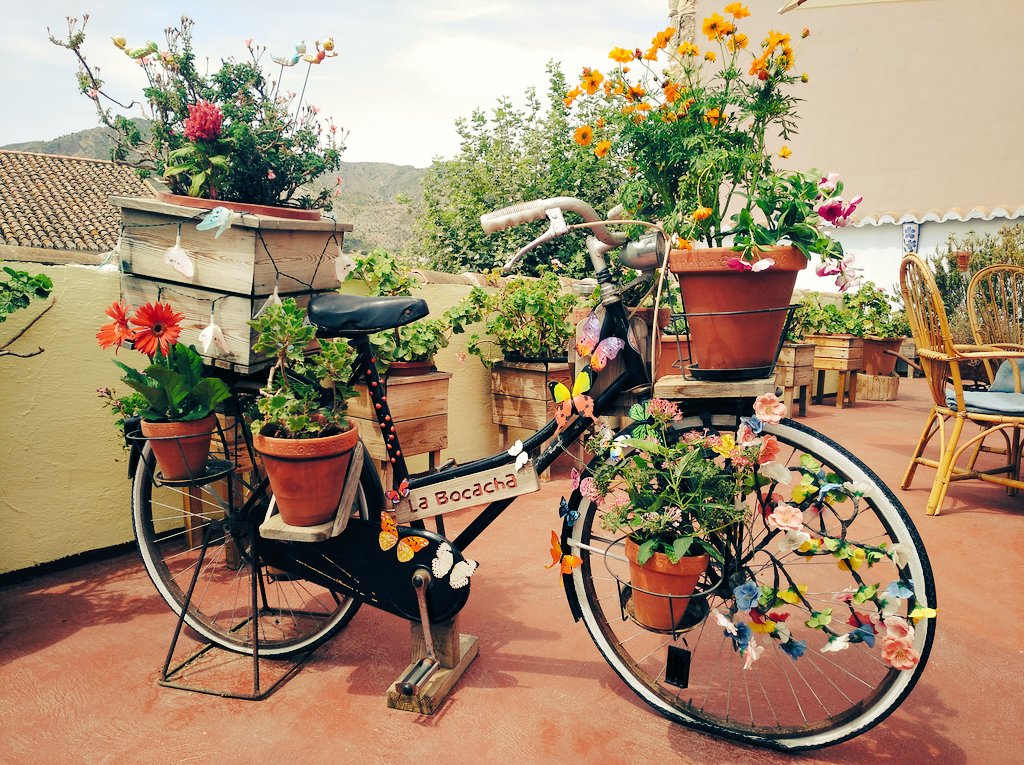 labocacha's tweet photo. Veranos 2019 
#labocacha #casapepa #carratraca #terraza #biciflores #carroaromarico https://t.co/XYGyjwDDcv