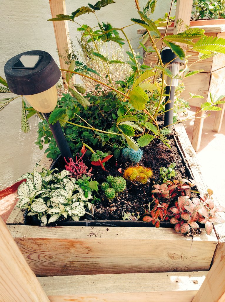 labocacha's tweet photo. Veranos 2019 
#labocacha #casapepa #carratraca #terraza #biciflores #carroaromarico https://t.co/XYGyjwDDcv