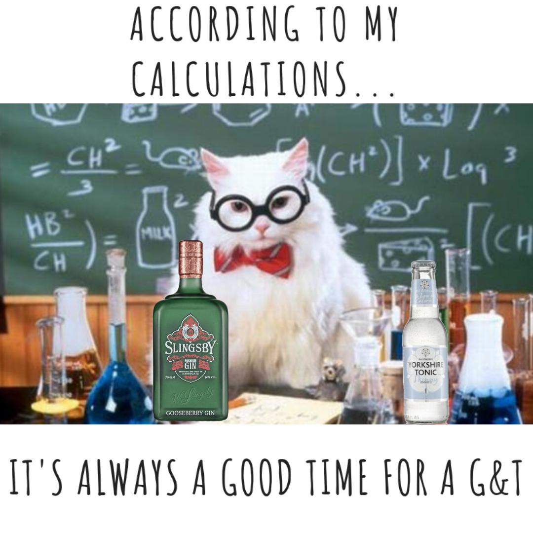 ILoveGindotcom's tweet photo. It didn't take me long to work this out either! 🍸😉@slingsbysocial @YTonics https://t.co/BwJdqRHfzf