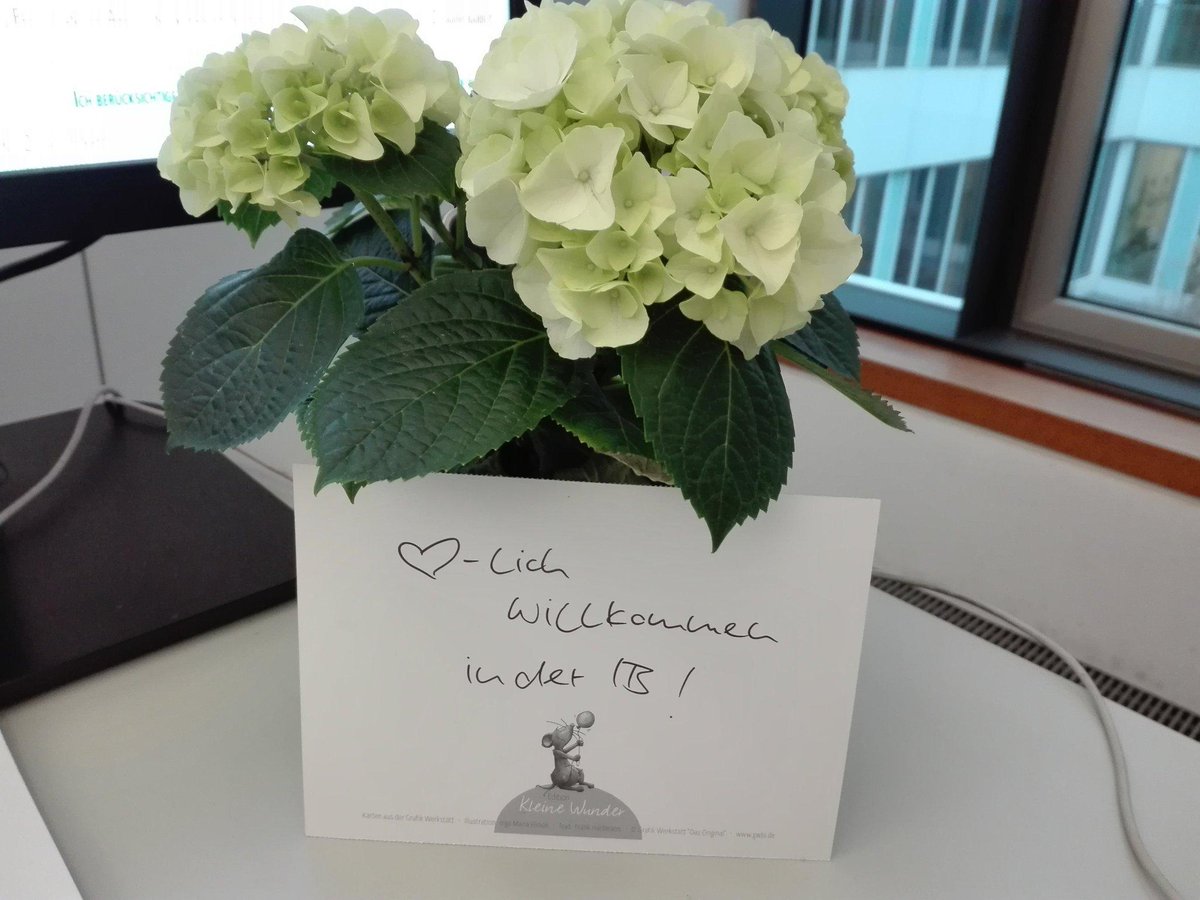 Deine Chance - dein Jobangebot! #ib_lsa sucht einen Netzwerkadministrator 💻!  Hier geht es zur Stellenbeschreibung: bit.ly/2Kmgy3G