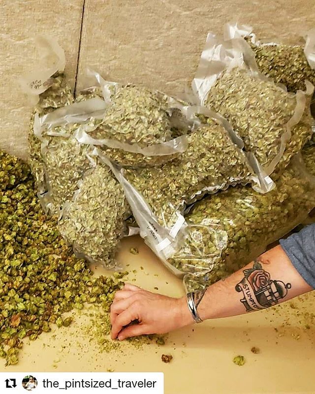 From @the_pintsized_traveler
・・・
Day 1 of the #FloridaBrewersConference went off without a hitch yesturday! Time to see what day 2 has in store 😈
•
•
•
We were fortunate enough to be able to peak inside the sold out sensory training yesterday and… ift.tt/2Yx7Nwe