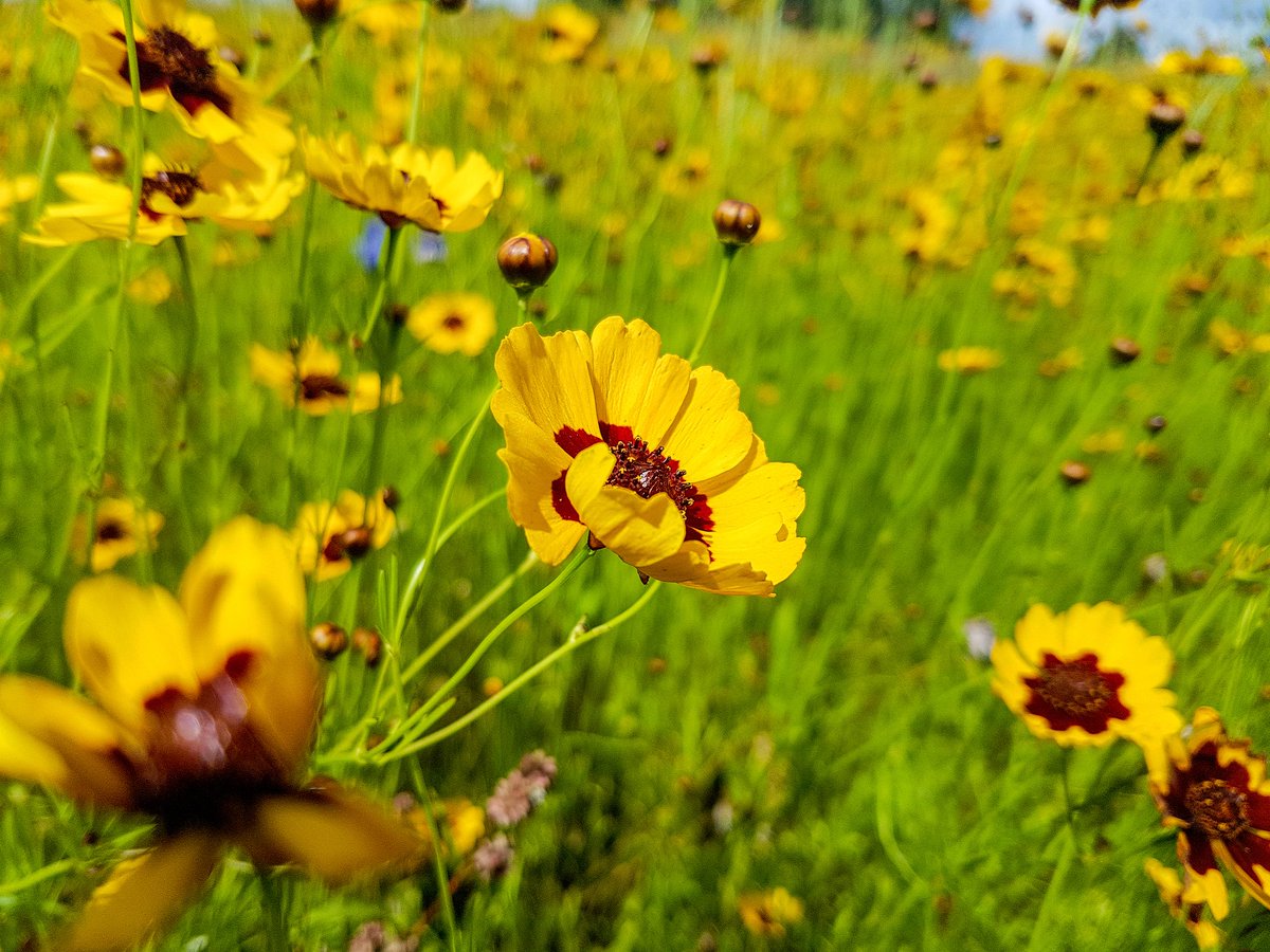 Inspiredimagesphotos tweet media