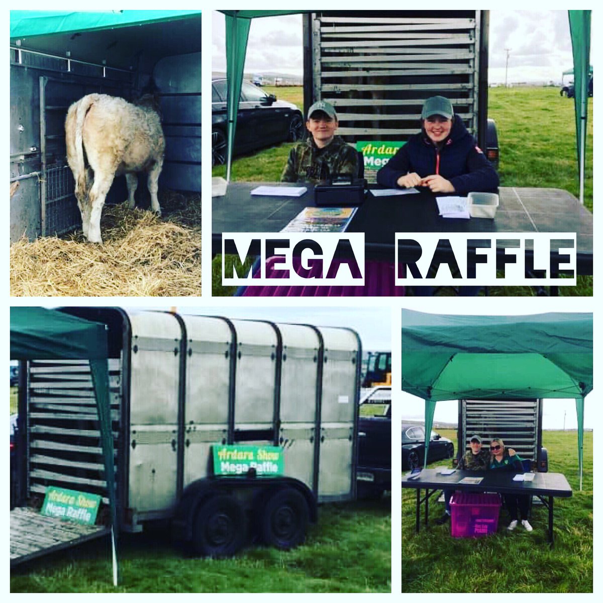 ardarashow's tweet photo. 3 More Days ... till Show Day!  Raffle tickets in shops!  First prize Reg. Pedigree Charolais Heifer and many more prizes.  Catalogues out tomorrow morning https://t.co/e2S3kC1zIe