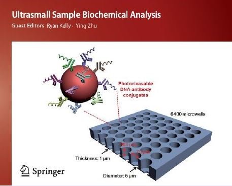 AnalBioanalChem's tweet image. Read here the Editorial on #Ultrasmall #sample #biochemical analysis by Guest Editors Ryan T. Kelly and Ying Zhu @PNNLab @YingZhu_pnnl @BYU 

link.springer.com/article/10.100…