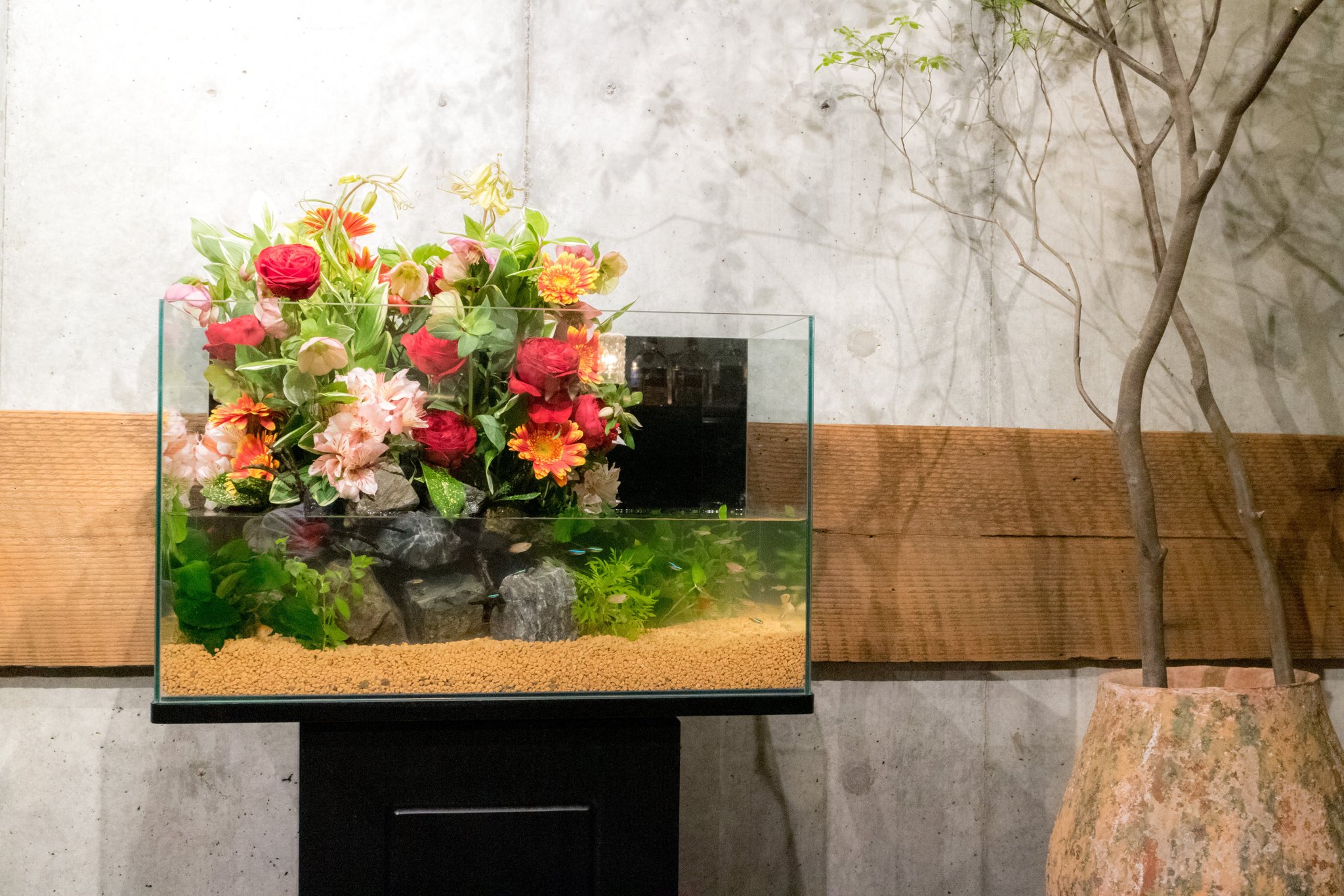 تويتر カンマ على تويتر 生花を使ったフラワーアクアリウム お花も魚も水草も全て本物です お花は 毎週交換します ー フラワーアクアリウムの動画はこちら T Co todyew アクアリウム 熱帯魚レンタル 熱帯魚水槽 フラワーアレンジメント