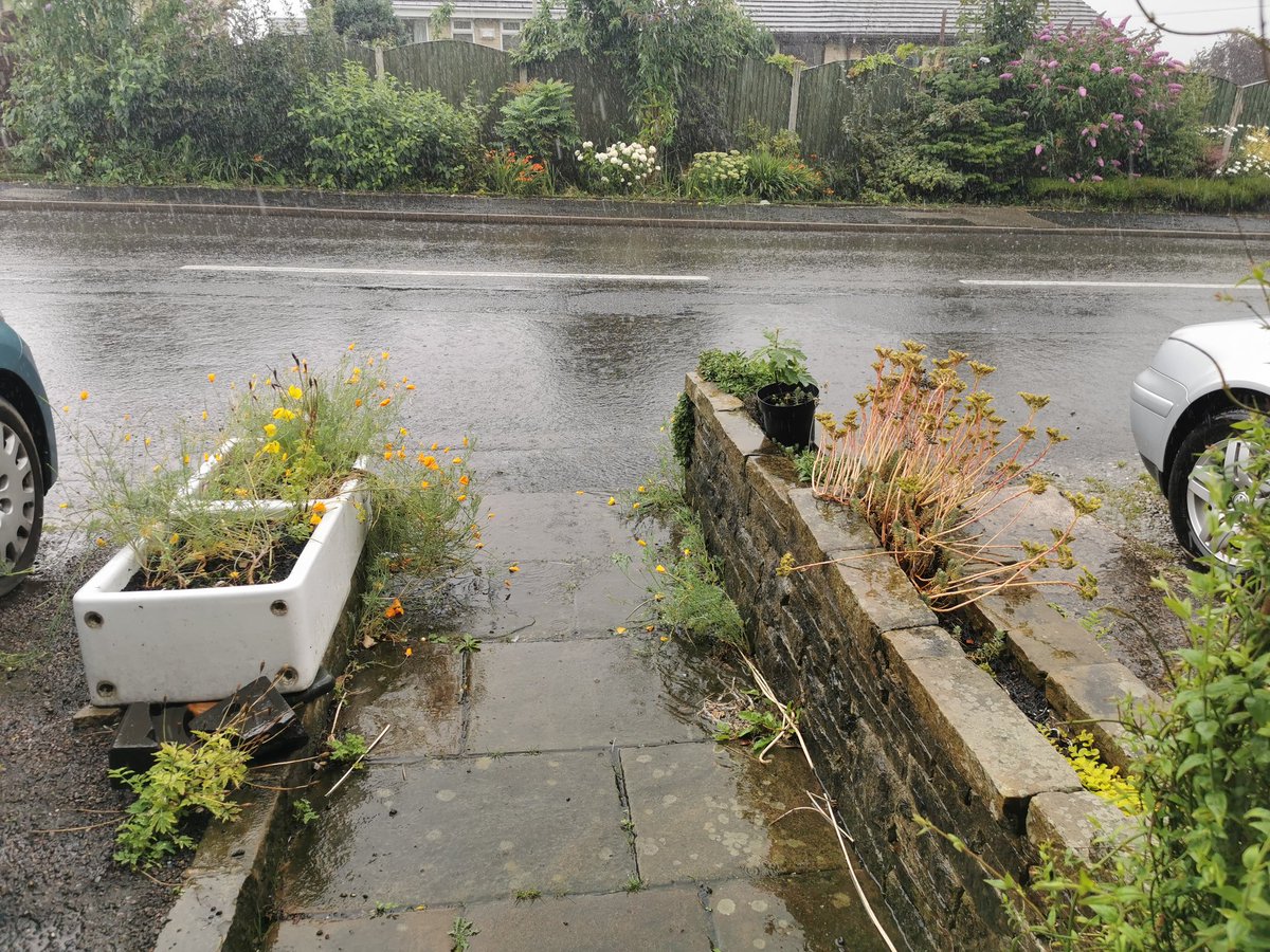 Still_Trouble's tweet photo. Off over the hill for a swim at #hathersagepool #openairpool
Might be swimming home at this rate! #swimming #openwaterswim #rainydayfun https://t.co/Dcja9bIPNy