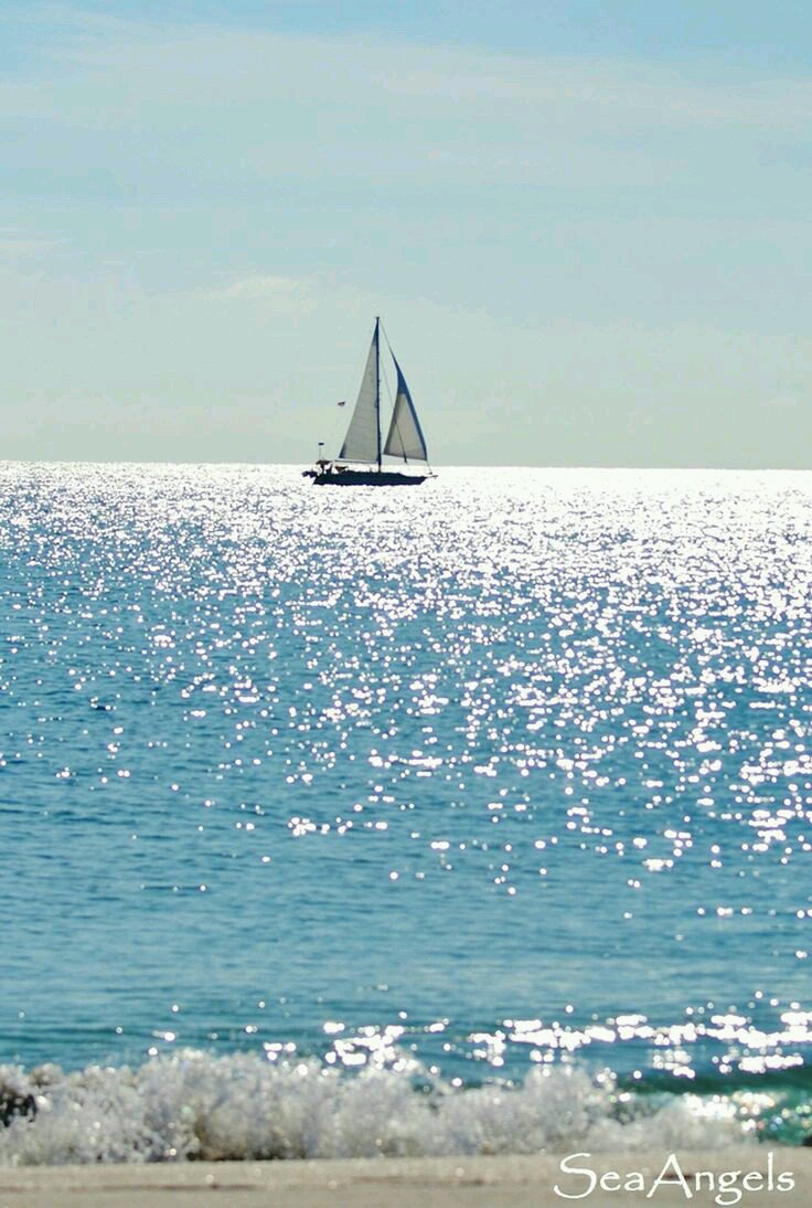gigliointi's tweet photo. Oggi così #calmapiatta #checaldochefa #7agosto #40gradi
🌊🌊🌊
@BrindusaB1 @AlessandraCicc6 @Rebeka80721106 @bmarczewska @LunaLeso @lagatta4739 @Hakflak @migliaccio31 @VAlivernini @atzeni_regina @Papryka5 @dadagioia @gherbitz @PaolaChiocchi @ANNAMARIABIASI1 https://t.co/XyIbZsRMv1