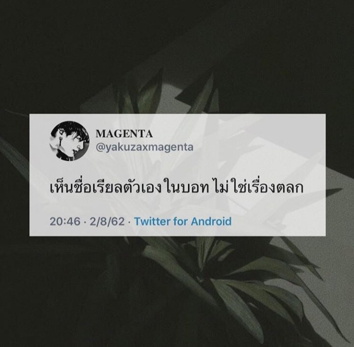 𝐏𝐚𝐤𝐢𝐧🌞 ft.โส๊ดโสด tweet media