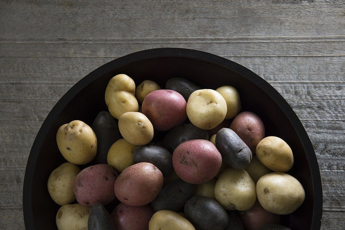 MelissasDYPs's tweet photo. Did you get a chance to check out @MelissasProduce blogpost all about #DutchYellowPotatoes ?? 😍Visit the link to unleash a world full of potatoes!! https://t.co/Rg1vlTyIgx https://t.co/UJpgBJFdg2