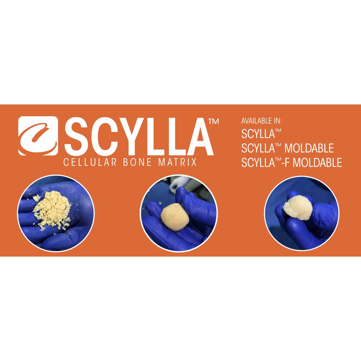 Camber Spine today announced that they will be entering the cellular bone graft market with an allogeneic bone matrix product containing viable spine-derived cells, marketed under the name of Scylla™. prn.to/2Tfe7Tw
