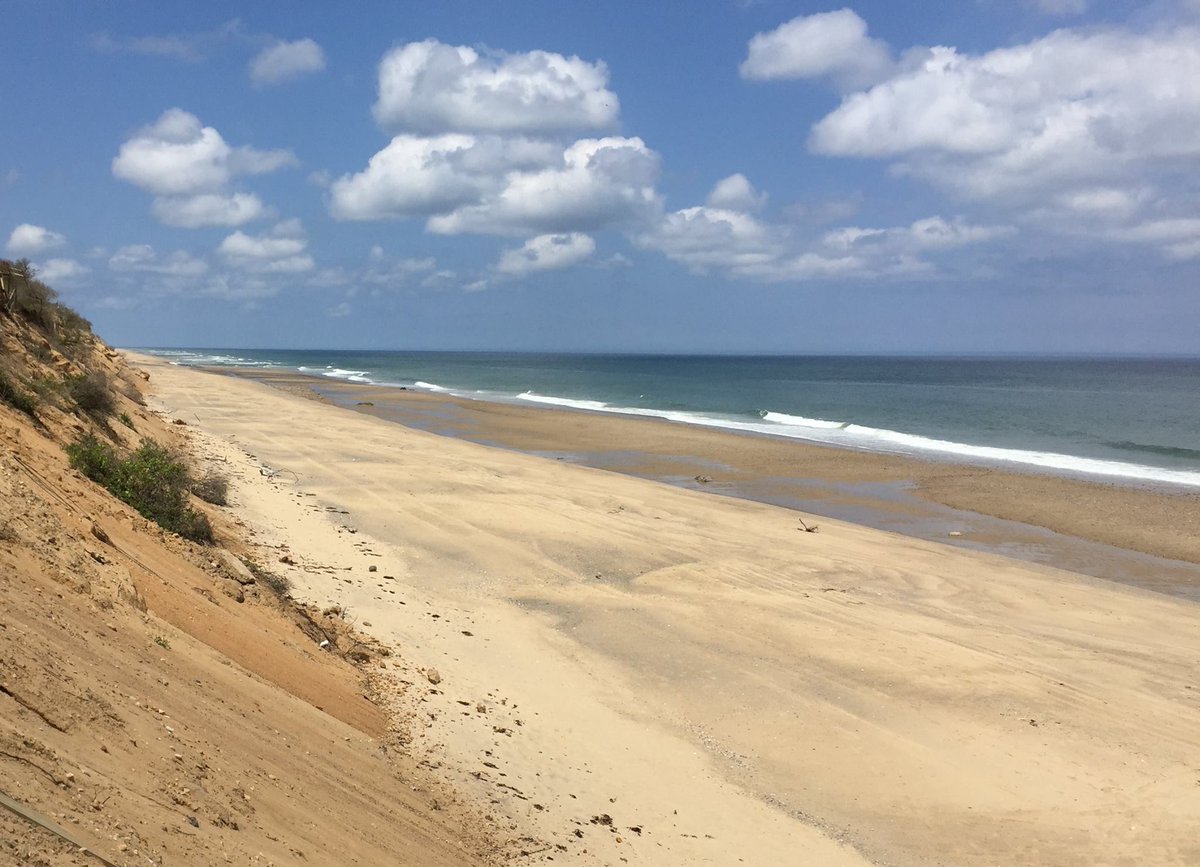 On August 7, 1961, President Kennedy signed legislation establishing #CapeCodNationalSeashore, preserving forever a significant portion of the Outer Cape. What do you appreciate most about the national seashore? 
#FindYourPark