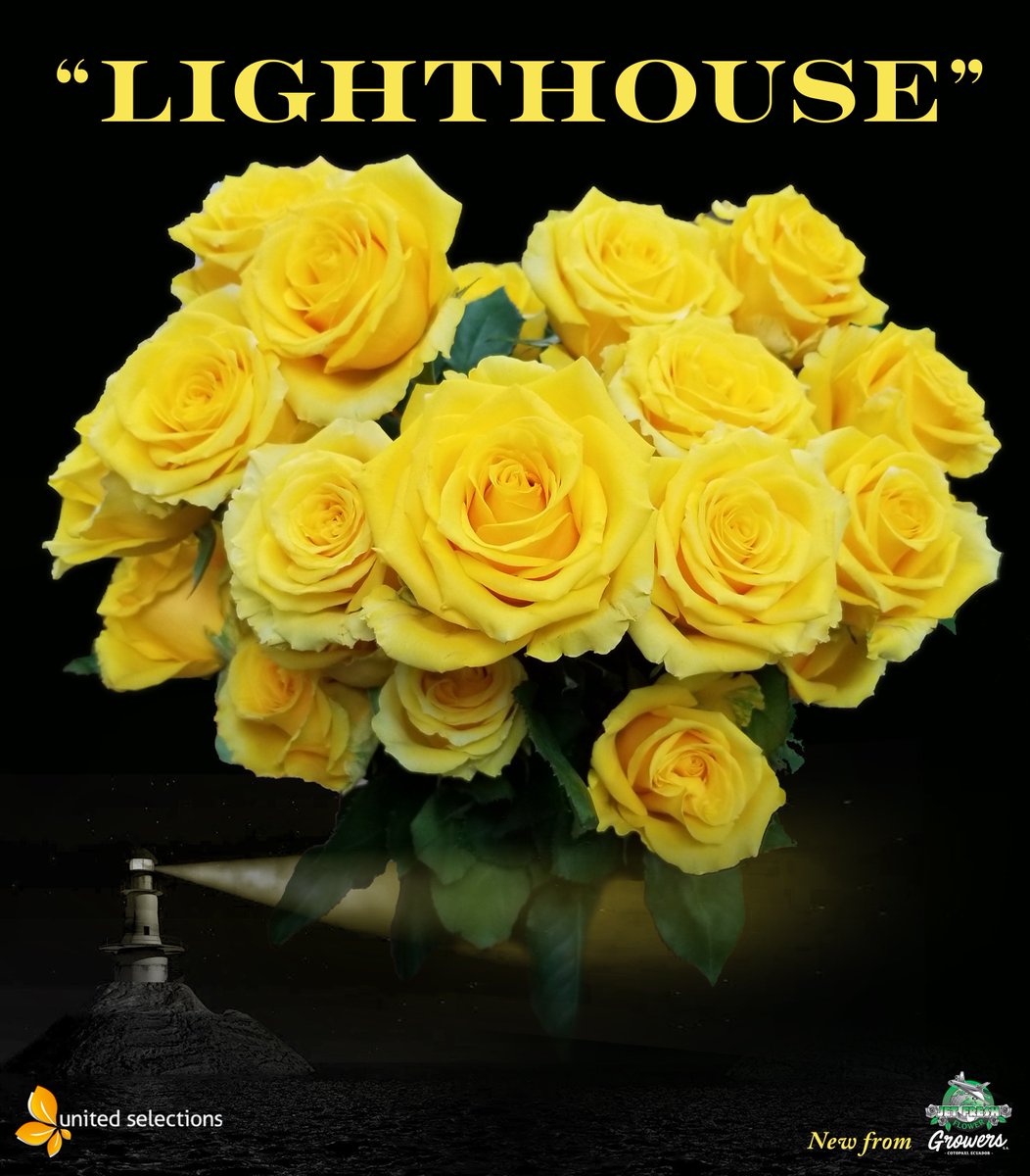 Jet Fresh Flowers tweet media