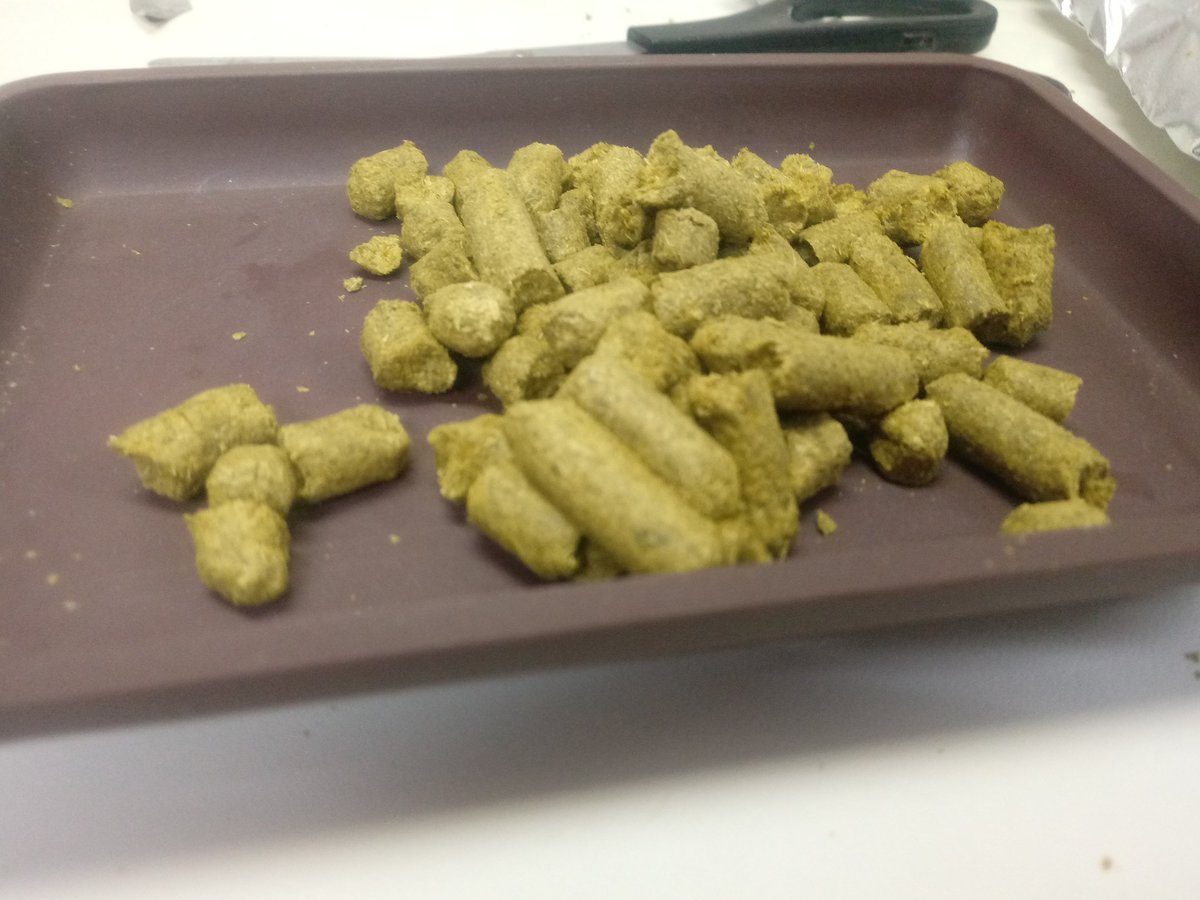 JarkoreBrew's tweet photo. Gaur chinook, summer eta equinox lupuluak erabili ditugu #apa #ehc #keepersOfTheGrain #garagardoa #craftBeer #artisaua https://t.co/uC8muLU6DV
