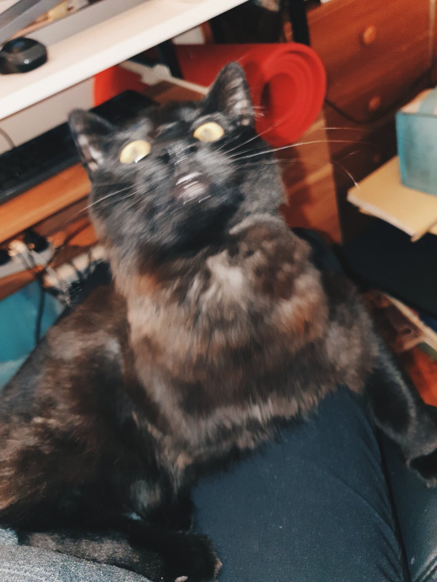 ohnomelody's tweet photo. also this horrifying outtake.
#bertimus https://t.co/ALv3XFnfnL