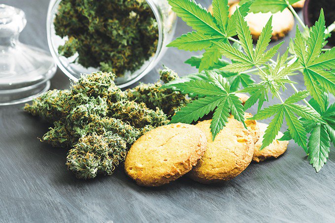 Are you ready for the second wave of legalization?
Edibles will be a billion-dollar business in #Canada within two years. #Sativachain is the solution , can help you prepare for to market ..transparency and quality assurance to protect the market and state authorities  #hemp #cbd