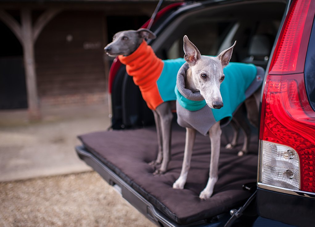 New range! 
Car boot toppers. #doglovers #dogholidays #carbootprotection #dogs #https://www.thestylishdogcompany.com/dog-category/travel/car-protection-for-dogs/