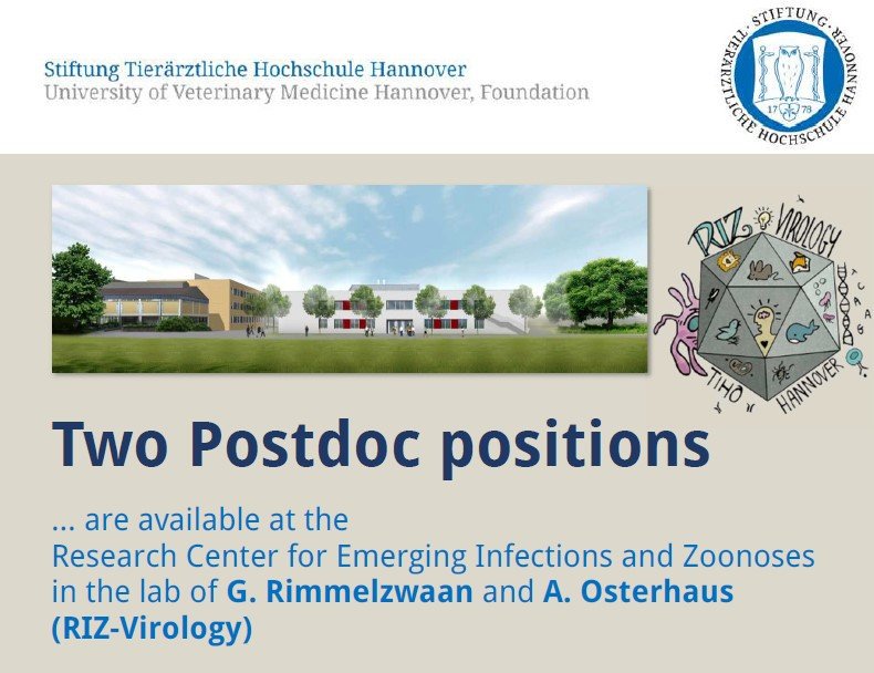 RIZvirology's tweet photo. Do you #LoveVirology? Join our team!💪2 Postdoc postions available! 🦠🦟
#Flavivirus #Arbovirus #RVFV #TBEV #Vaccines #tcellresponse #virology #immunology #postdoclife https://t.co/913xzYG8tF