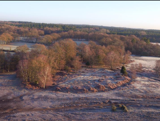NewForestArch's tweet image. Find out all about our recent work with @EngNewForest and @BUARC_Archaeo to look after and find out more about one of the eriliest monumnets found in the @NewForestNPA. The project has seen geophysical surveys, excavation and restoration work take place.  nfknowledge.org/contributions/…