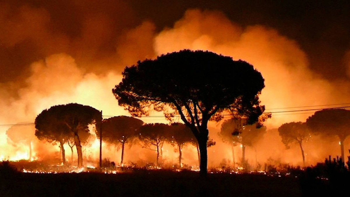 PoliciaGr's tweet photo. ATENCIÓN‼️
🔥🔥🔥🔥
Bomberos 🚒y Policía Local de Granada🚓.
Informan:
Queda activado el Plan de Incendios Forestales desde las 15:30 h hasta las 21:30h del día de hoy.
Proteger tu campo es proteger tu vida.
Si ves llamas, llama. 
Emergencias☎️112
Policía local 092
Bomberos 080 https://t.co/82u3ipYhIq