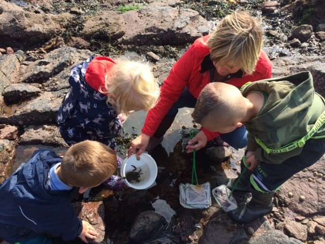 ScotChildmind's tweet photo. Happy Playday 2019 everyone! 😃🏴📣💙👍🥳
Why not take a look @PlayScotland for great ideas, resources and insights into encouraging play in your childminding service!
#LearnThroughPlay #BeInclusive #ImaginativePlay #PretendPlay #ActivePlay #OutdoorPlay #PlayForAll #AllForPlay https://t.co/sEukASRu1L