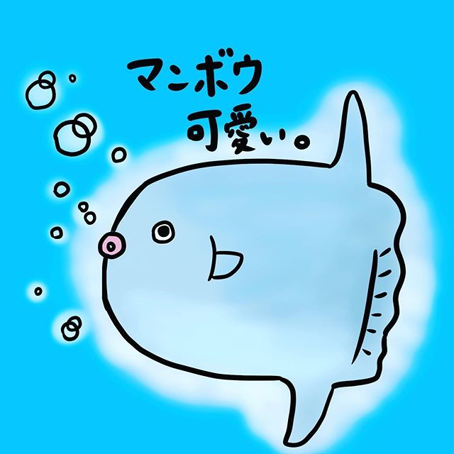 マンボウ可愛い Twitter Search Twitter