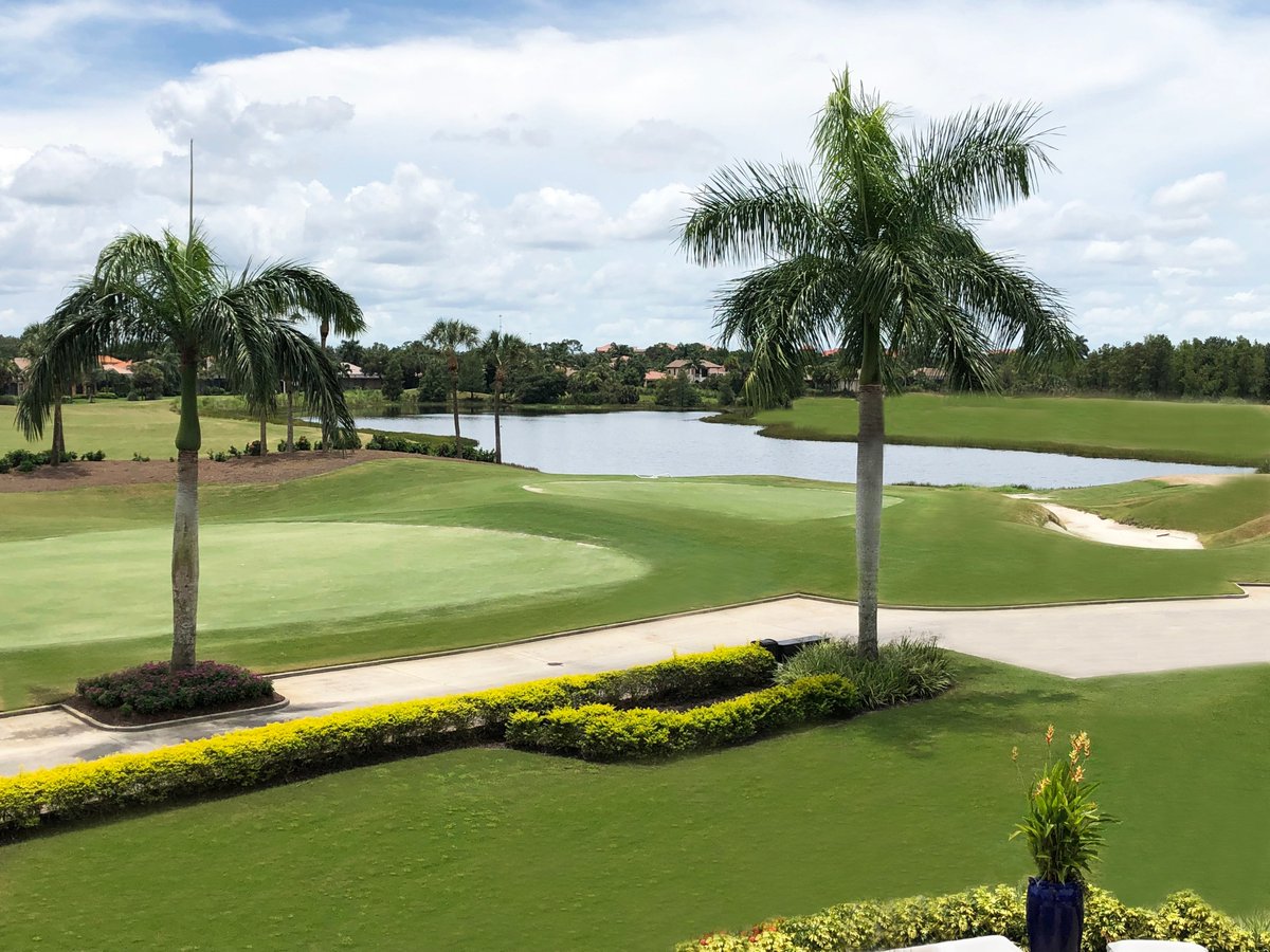 TheClubatRen's tweet photo. The greens are looking fantastic! Book a tee time and let's go #golfing!

239-561-6335.

Not a member yet?
Call us to get details: 239-462-3547.

#RenClub #golfcourse #countryclub #fortmyers #greens https://t.co/h5BqIafVy8