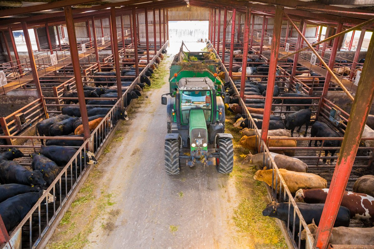 specialistnutri's tweet photo. Fantastic cattle getting super intakes on zero grazed grass with Brewers Grain, maize meals and mazzoleni minerals
Call Michael Cleary for more info on 086 804 8219
#UnlockYourFarmPotential https://t.co/qCL1qZfIvF