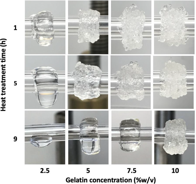 CellScale's tweet photo. Read about the innovations of Dr. Kaiming Ye and his team at @binghamtonu as they develop a fibrinogen/gelatin-based bioink and a rotary 3D bioprinter to create #TEVG (tissue-engineered vascular grafts). https://t.co/rPCuNFtmfs #bioprinting #UStretch https://t.co/ZmWX0yVrnq